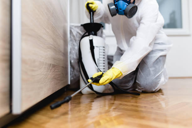 Best Affordable Pest Control Services  in Las Vegas, NV