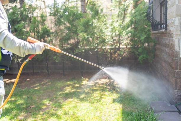 Best Flea Control Services  in Las Vegas, NV