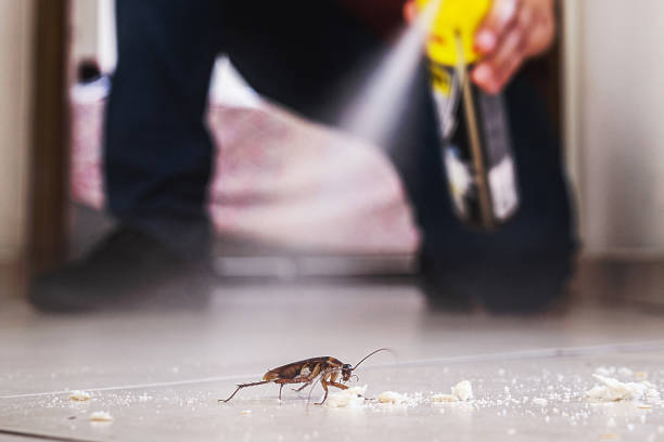 Best Pest Removal Services  in Las Vegas, NV